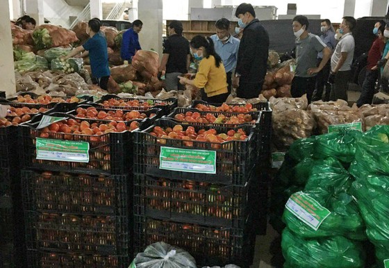 Lâm Đồng tiếp tục gửi 420 tấn rau, củ hỗ trợ các địa phương phòng, chống dịch ảnh 4 Lâm Đồng tiếp tục gửi 420 tấn rau, củ hỗ trợ các địa phương phòng, chống dịch ảnh 4
