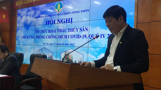Hàng chục ngàn tàu cá phải nằm bờ, thiếu hụt người đi biển ảnh 2