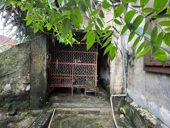 Cứu hộ gấu ngựa bị nuôi nhốt 17 năm ở Nam Định ảnh 2