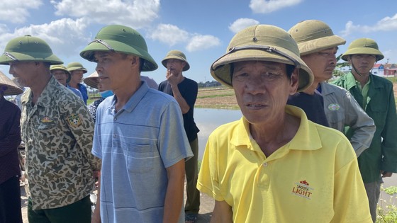 Hàng trăm nông dân ở xã An Tân (Thái Thuỵ - Thái Bình) xót xa nhìn cánh đồng lúa chết. Ảnh: VĂN PHÚC