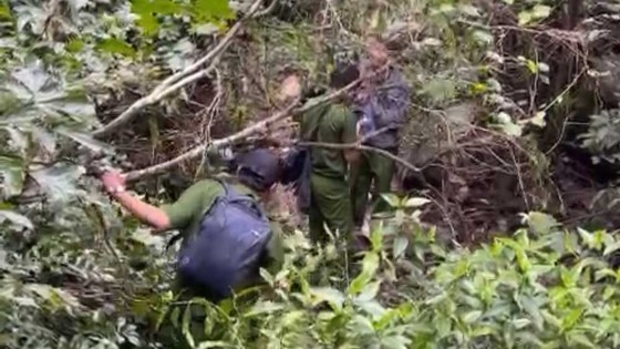 Lực lượng chức năng tổ chức tìm kiếm nữ du khách bị mất tích trong rừng Tà Cú
