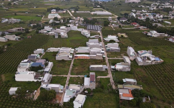 Đề nghị “cởi trói” cho 132 thửa đất ở TP Phan Thiết bị phong tỏa, điều tra ảnh 1