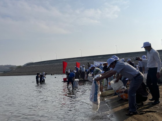 Bình Thuận: Thả hơn một triệu con giống tái tạo nguồn lợi thủy sản