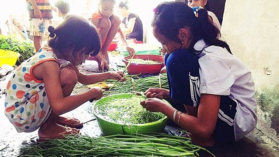 Lớp học của những phận đời ảnh 1