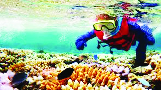 Australia bảo tồn rạn san hô lớn nhất thế giới
