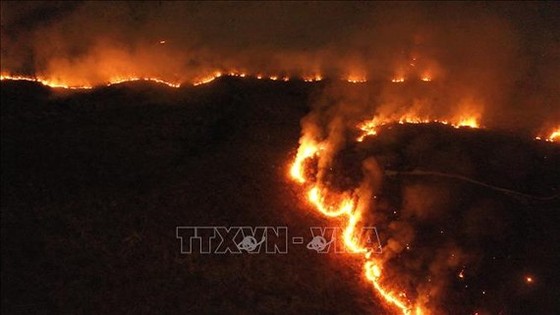 Các đám cháy tại rừng mưa Amazon ở bang Tocantins, Brazil, ngày 17-8