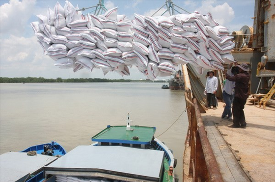 Bốc xếp gạo xuất khẩu tại cảng Nhà Bè. Ảnh: TTXVN.
