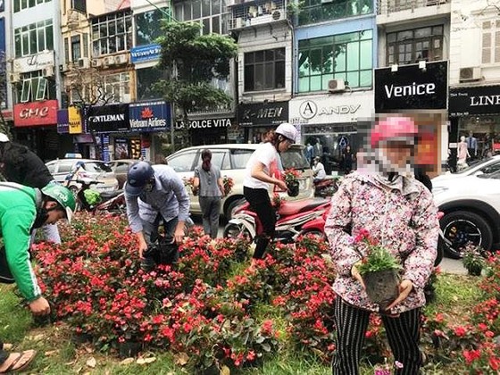 Công ty Công viên cây xanh Hà Nội: Khó thể đảm bảo không tái diễn cảnh “hôi” hoa ảnh 2