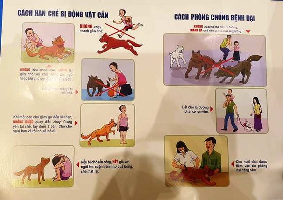 Chó cắn làm 46 người thiệt mạng ảnh 2