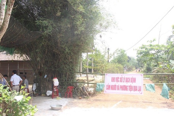 Xuất hiện ổ dịch tả heo Châu Phi tại Khu nghỉ dưỡng suối khoáng nóng Alba Thanh Tân ảnh 2