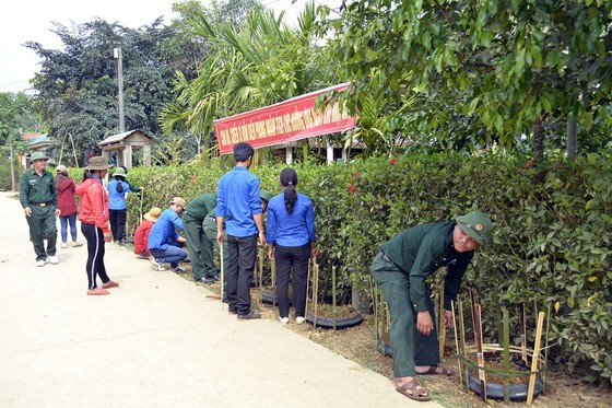 Mô hình xanh, sạch, sáng làm cho Huế đẹp hơn ảnh 1