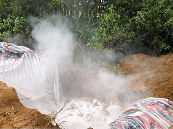 Tái bùng phát dịch tả heo châu Phi ở Nghi Xuân, Hà Tĩnh ảnh 3