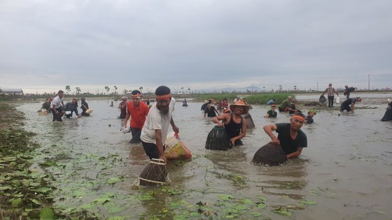 Hàng trăm người nô nức bắt cá hồ Đập Lổ ở Hà Tĩnh ảnh 11