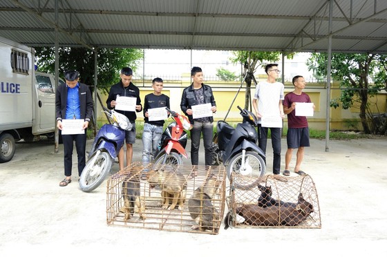 Bắt giữ băng nhóm gây ra hàng loạt vụ trộm chó ở Hà Tình ảnh 1