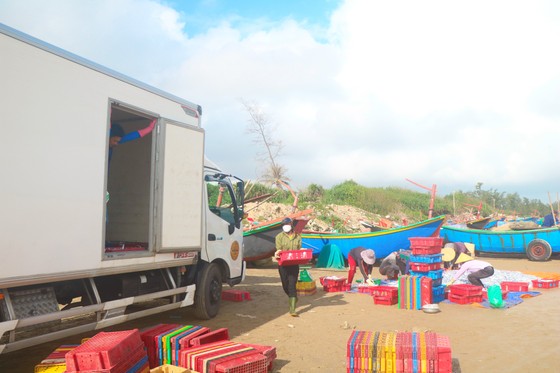 Ngư dân Hà Tĩnh trúng “lộc biển” những ngày đầu vụ cá Bắc ảnh 19