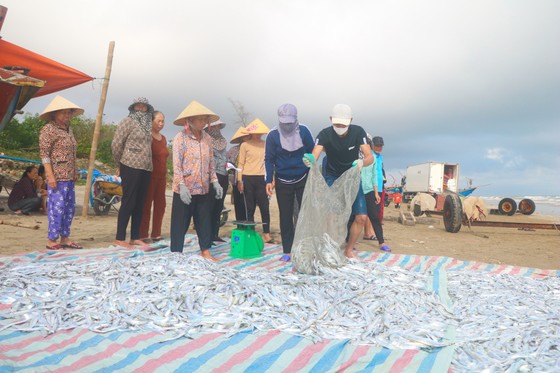 Ngư dân Hà Tĩnh trúng “lộc biển” những ngày đầu vụ cá Bắc ảnh 13