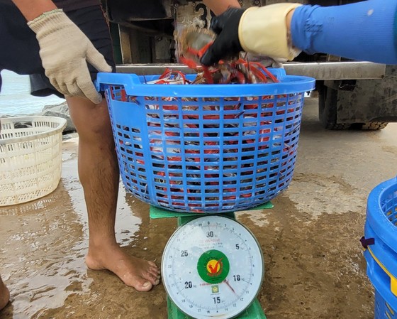 Ngư dân Hà Tĩnh trúng “lộc biển” những ngày đầu vụ cá Bắc ảnh 28