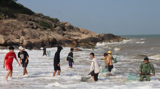 Nhiều người dân ra bờ biển xã Kỳ Phú (Kỳ Anh, Hà Tĩnh) vớt "lộc biển" đầu năm