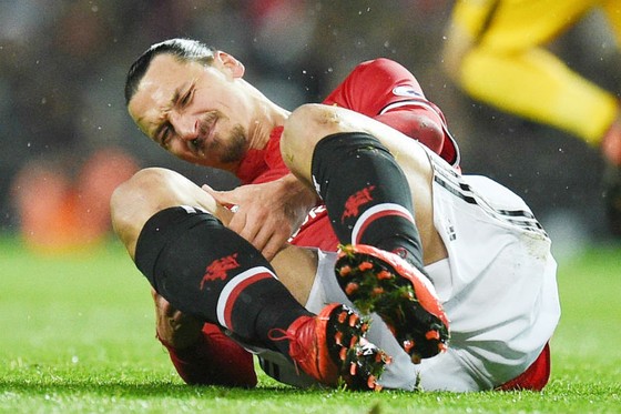 Zlatan Ibrahimovic đau đớn ở trận thắng nhọc nhằn Brighton. Ảnh: Getty Images  