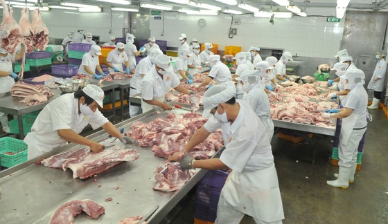   Pha lóc thịt heo tại Công ty Vissan                 Ảnh: CAO THĂNG