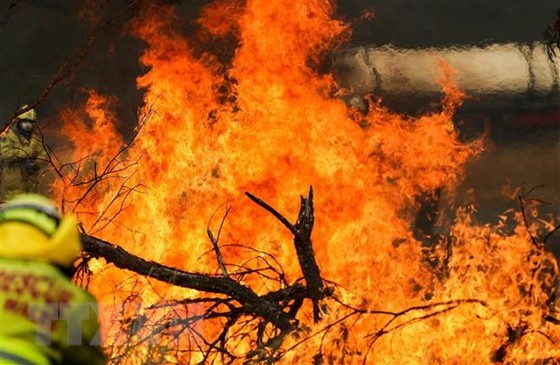 Các đám cháy rừng bùng phát dữ dội tại New South Wales, Australia. Ảnh: TTXVN