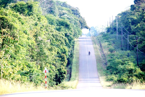 Đường dân sinh ĐT 761 trong Khu bảo tồn thiên nhiên - văn hóa Đồng Nai