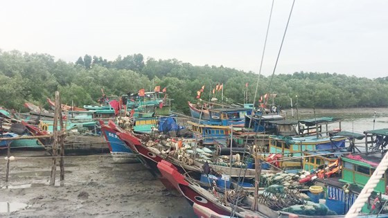Tàu thuyền đã vào âu tránh bão Tembin tại huyện Cần Giờ, TPHCM ngày 25-12-2017