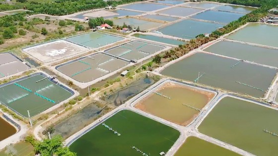 Tiết kiệm năng lượng nuôi trồng thủy sản ảnh 1