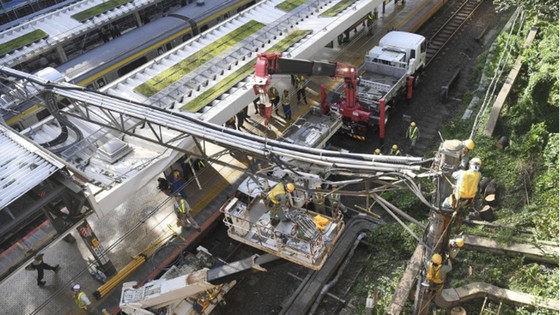 Hệ thống giao thông và điện tại Nhật Bản bị ảnh hưởng nặng sau khi bão Trami đổ bộ