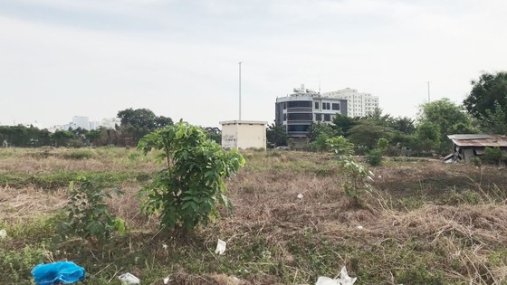Dự án khu nhà ở tại phường Thạnh Mỹ Lợi của Công ty  cổ phần Tiếp vận Đông Sài Gòn vẫn chưa có hạ tầng