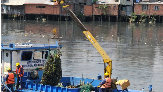 Thu gom rác trên kênh rạch tại TPHCM. Ảnh: CAO THĂNG
