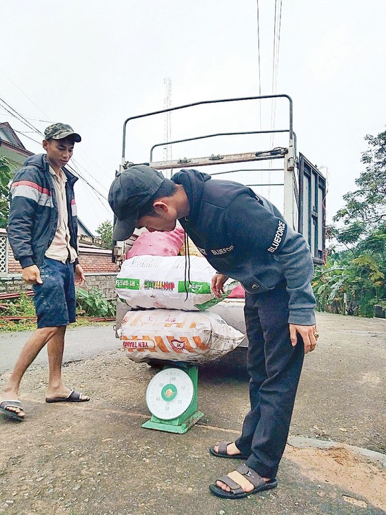 Lên danh trái vả ảnh 3