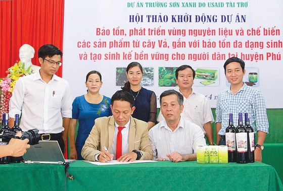 Lên danh trái vả ảnh 6