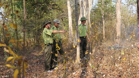 Lực lượng kiểm lâm Vườn quốc gia Yok Đôn tuần tra bảo vệ rừng. Ảnh: ĐÔNG NGUYÊN