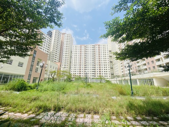 Chia đôi 3.790 căn hộ tái định cư ở Thủ Thiêm để đấu giá ảnh 1