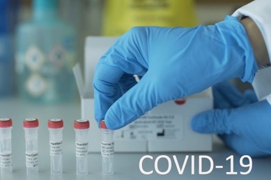 Những cuộc 'săn tìm' thuốc điều trị Covid-19 ảnh 1