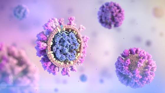 Các protein tăng đột biến trên bề mặt của virus SARS-CoV-2 không tối ưu để liên kết với các thụ thể trên tế bào người, các nhà nghiên cứu cho biết. © AP