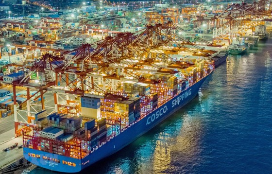 Tàu container neo tại cảng thương mại quốc tế ở Thanh Đảo, tỉnh Sơn Đông, Trung Quốc ngày 21/11/2019. (Ảnh: AFP/TTXVN)