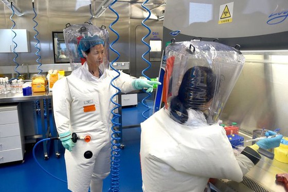 Tóm tắt tất cả bằng chứng hiện có về nguồn gốc COVID-19: Virus đã rò rỉ từ phòng thí nghiệm hay tiến hóa từ tự nhiên? - Ảnh 4. Tóm tắt tất cả bằng chứng hiện có về nguồn gốc COVID-19: Virus đã rò rỉ từ phòng thí nghiệm hay tiến hóa từ tự nhiên? - Ảnh 4.