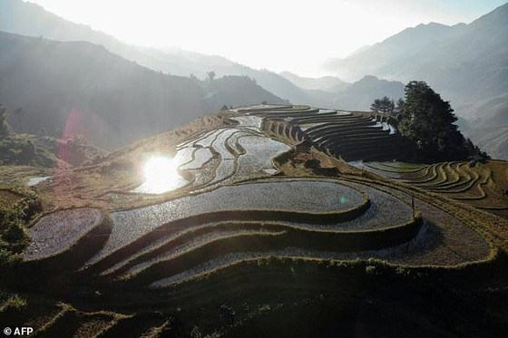 Vietnam's spectacular terraced ricefields wait for tourists ảnh 1 The terraces mostly belong to the Hmong, a minority group who make up most of the area's population