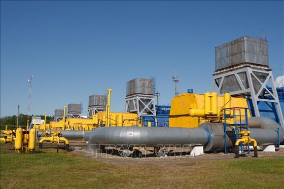 Argentina mở thầu dự án đường ống dẫn khí đốt lớn nhất nước. Ảnh minh họa: TTXVN