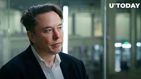  4 altcoin tăng hai chữ số khi tỷ phú Elon Musk tweet về AI