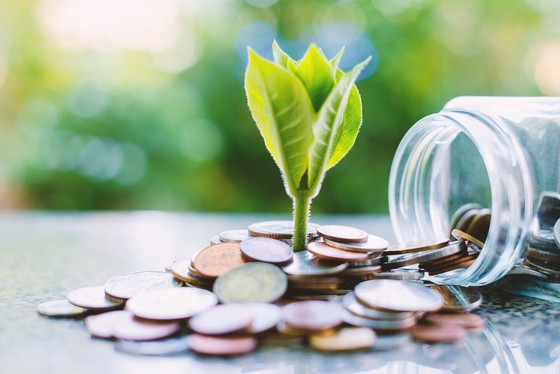 Embracing Green Finance to Propel Real Estate Sustainability