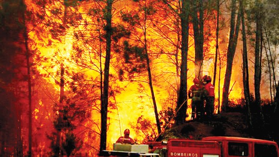 Lính cứu hỏa Bồ Đào Nha nỗ lực dập lửa trong vụ cháy rừng