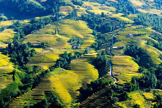 Nhiều chương trình khuyến mãi, kích cầu hấp dẫn tiếp tục được tung ra ảnh 5