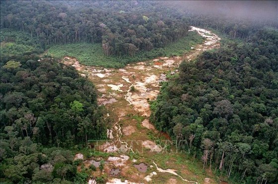 Khoảng rừng Amazon bị chặt phá tại Brazil. Ảnh: AFP/TTXVN