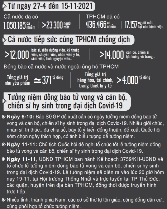 20 giờ tối nay, tưởng niệm đồng bào tử vong và cán bộ, chiến sĩ hy sinh do đại dịch Covid-19 ảnh 1