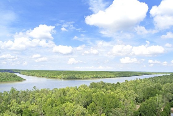 Quy hoạch phải đi trước ảnh 1