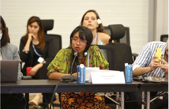Các nhà hoạt động khí hậu đại diện cho thanh niên toàn cầu tham gia cuộc thảo luận có chủ đề Passing the Baton tại COP27