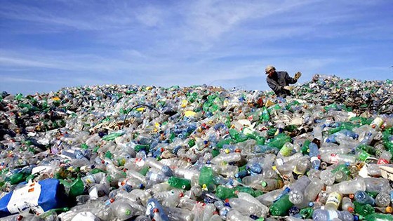 Phát hiện vi khuẩn “ăn” rác thải nhựa